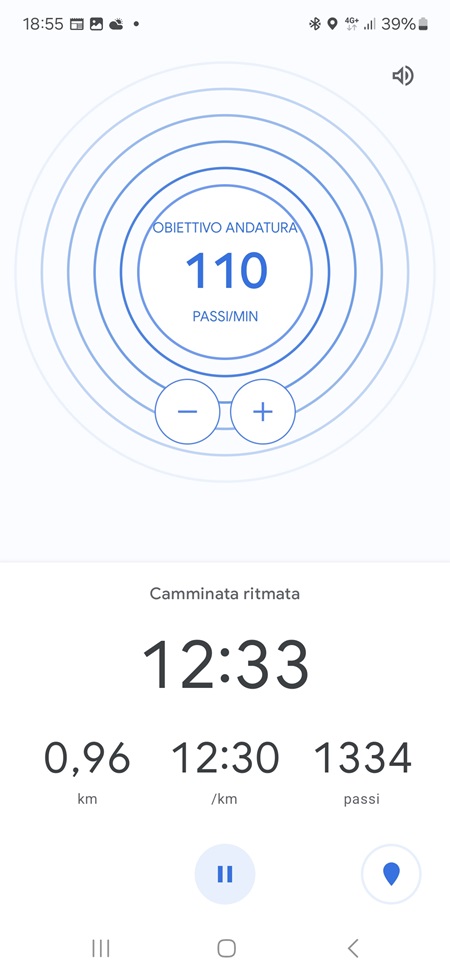 Google Fit Contapassi